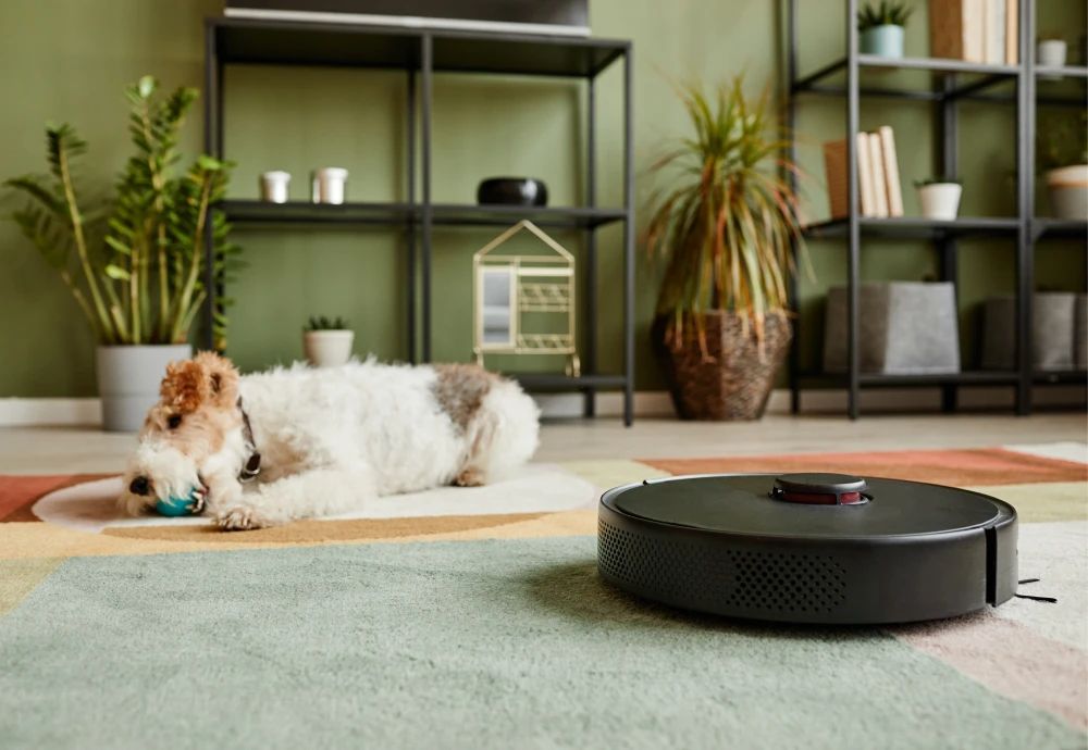 robot vacuum cleaner with smart mapping system